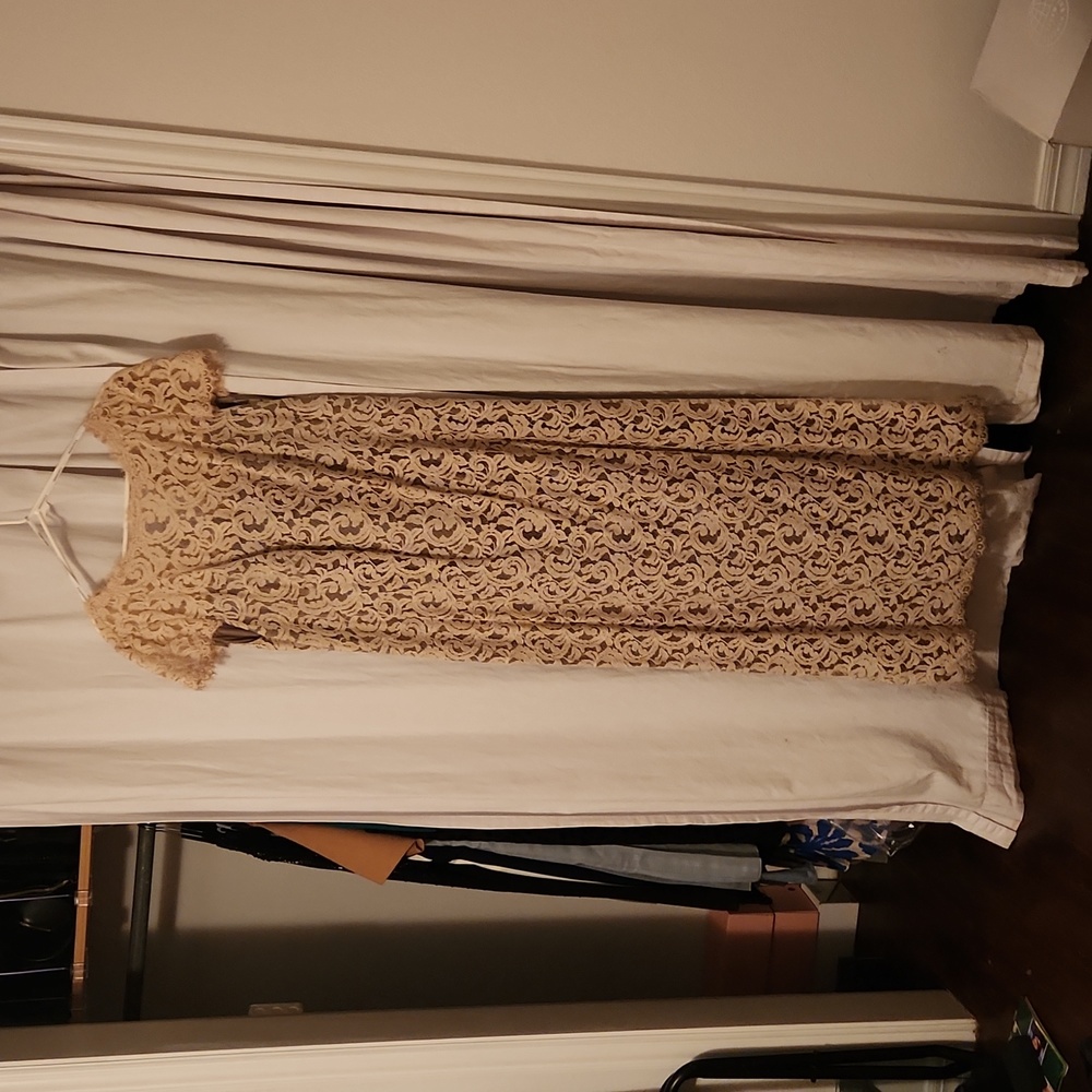 Tadashi Nude Lace Dress